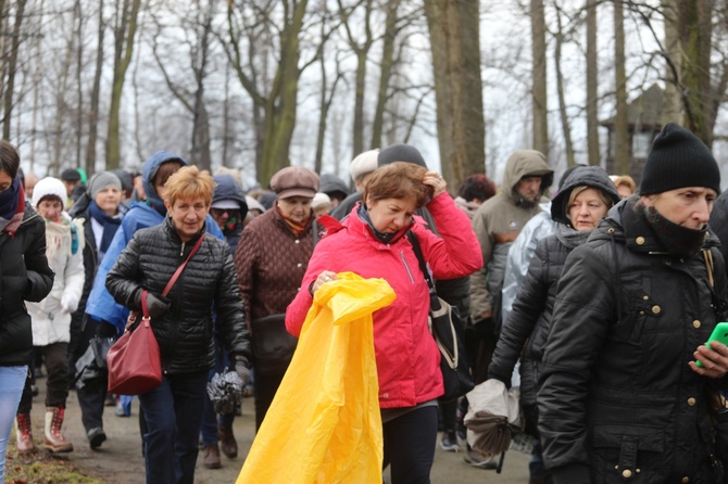 Droga Krzyżowa w intencji trzeźwości w byłym KL Birkenau 2017