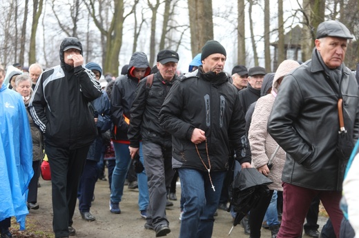 Droga Krzyżowa w intencji trzeźwości w byłym KL Birkenau 2017