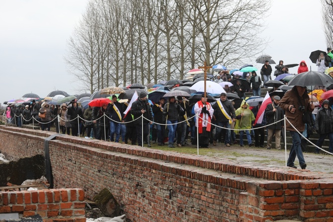 Droga Krzyżowa w intencji trzeźwości w byłym KL Birkenau 2017