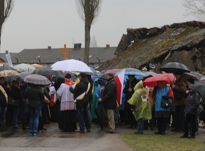 Droga Krzyżowa w intencji trzeźwości w byłym KL Birkenau 2017