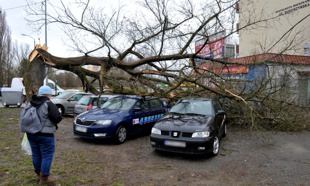 Prawie 1000 interwencji strażaków po wichurach