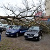 Prawie 1000 interwencji strażaków po wichurach