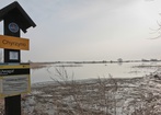 Najmłodszy park