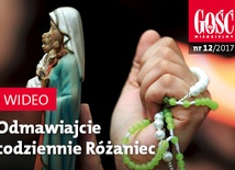 Zwiastun najnowszego "Gościa"