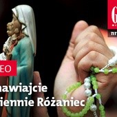 Zwiastun najnowszego "Gościa"