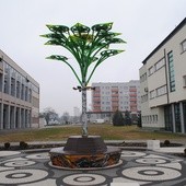 Solarne drzewko