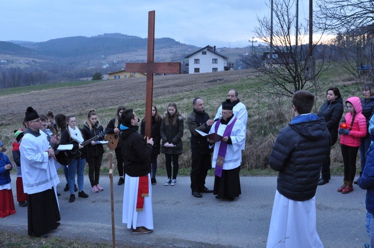 Droga Krzyżowa w Trzetrzewinie