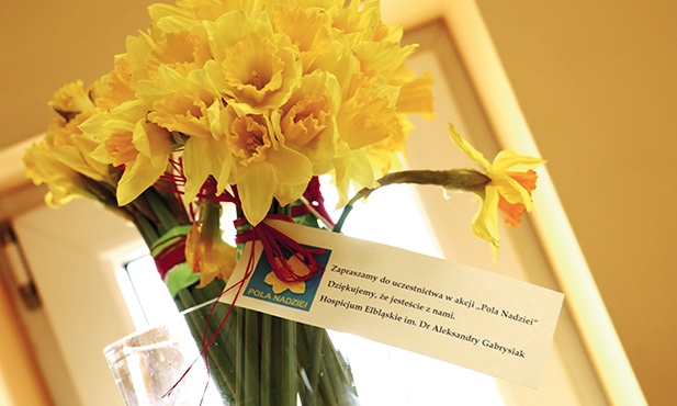 Pola Nadziei zapoczątkowane zostały przez fundację Marie Curie Cancer Care w Edynburgu w 1988 roku. W Polsce jako pierwsze akcję zorganizowało Hospicjum św. Łazarza w Krakowa w 1998 roku