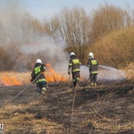 Pożary traw w powiecie sandomierskim 