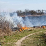 Pożary traw w powiecie sandomierskim 