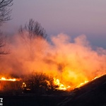 Pożary traw w powiecie sandomierskim 