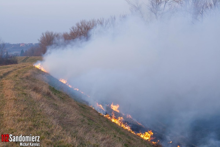 Pożary traw w powiecie sandomierskim 