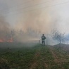 Pożary traw w powiecie sandomierskim 