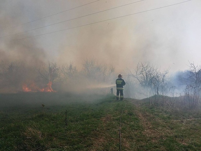 Pożary traw w powiecie sandomierskim 