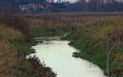 Prosna w okolicach Zdziechowic w powiecie oleskim. Bieg rzeki przez z górą 600 lat wytyczał tu granicę.