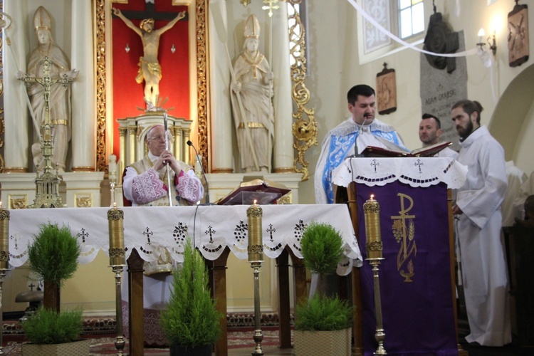 Powitanie ikony MB Częstochowskiej w Luszynie