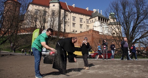Papieska łąka zakwitnie pod Wawelem
