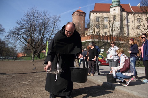 Sianie papieskiej łąki