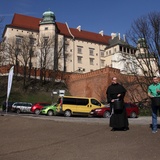 Sianie papieskiej łąki