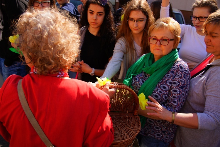 Marsz Żonkilowy w Oławie