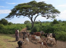 Etiopia