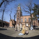 Krzyżowanie