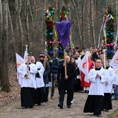 Po Mszy św. wyruszy procesja z palmami do pól