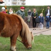 Niedziela Palmowa w Międzyrzeczu