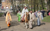 Niedziela Palmowa w Piekarach Śląskich