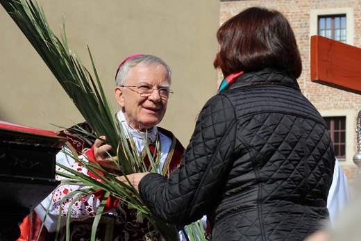 Niedziela Palmowa na Wawelu - 9.04.2017