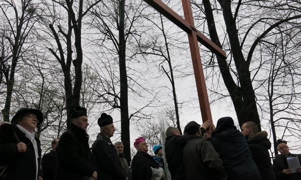 Krzyż na ulicach Bielska-Białej