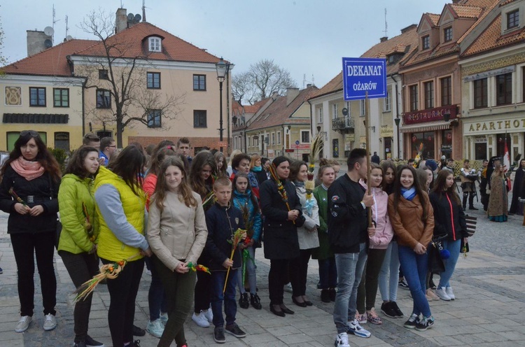 Niedziela Palmowa w Sandomierzu 