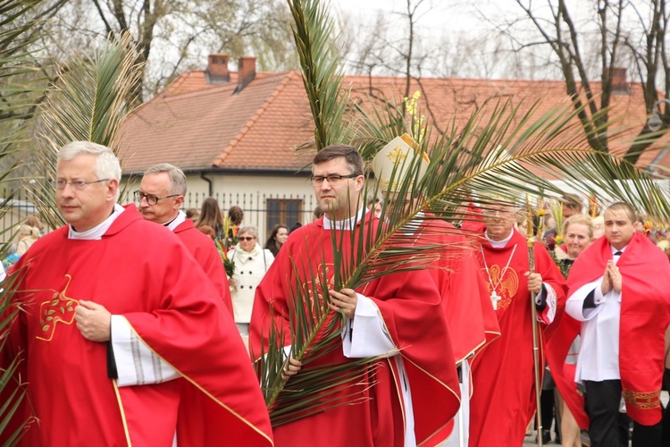 Niedziela Palmowa w Łowiczu