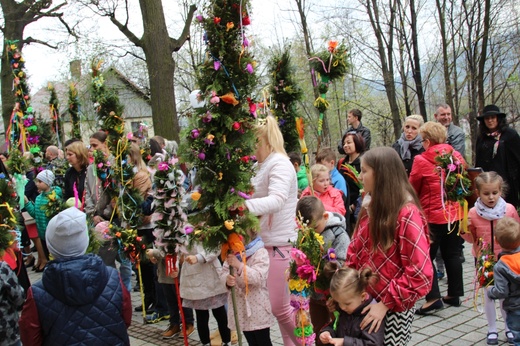 Palmowa procesja w Czańcu - 2017