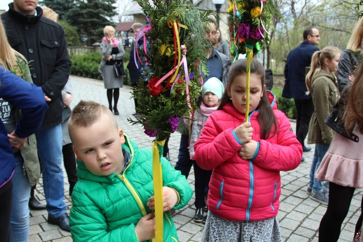 Palmowa procesja w Czańcu - 2017