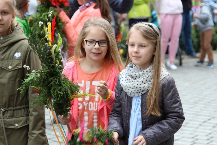 Palmowa procesja w Czańcu - 2017