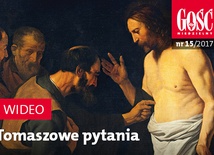 Zwiastun najnowszego "Gościa"