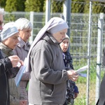 Wielki Piątek. Droga Krzyżowa przez ulicami Świdnicy