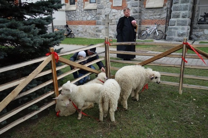 Święcenie pokarmów wspólnie z owieczkami 