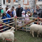 Święcenie pokarmów wspólnie z owieczkami 