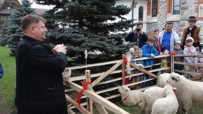 Święcenie pokarmów wspólnie z owieczkami 