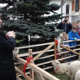 Święcenie pokarmów wspólnie z owieczkami 