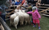 Święcenie pokarmów wspólnie z owieczkami 