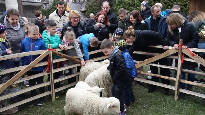 Święcenie pokarmów wspólnie z owieczkami 