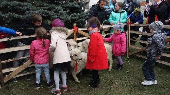 Święcenie pokarmów wspólnie z owieczkami 