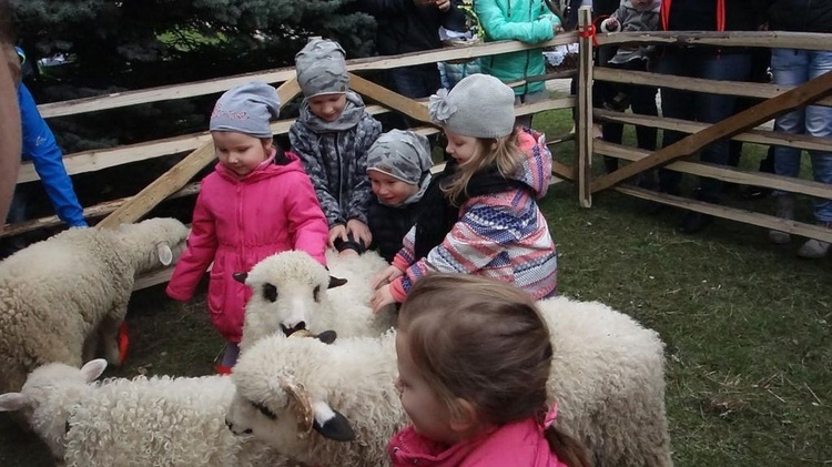 Święcenie pokarmów wspólnie z owieczkami 