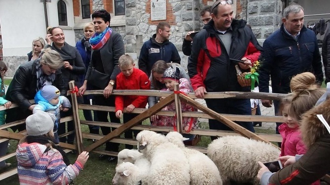 Święcenie pokarmów wspólnie z owieczkami 