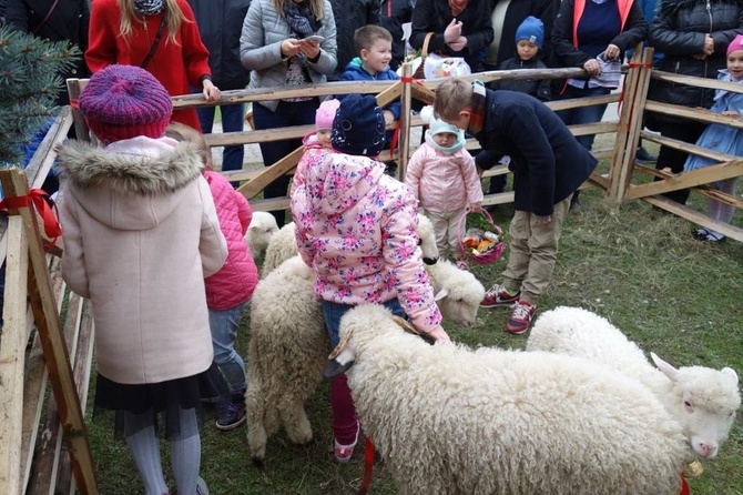 Święcenie pokarmów wspólnie z owieczkami 