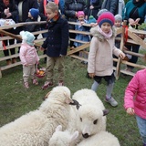 Święcenie pokarmów wspólnie z owieczkami 