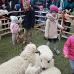 Święcenie pokarmów wspólnie z owieczkami 